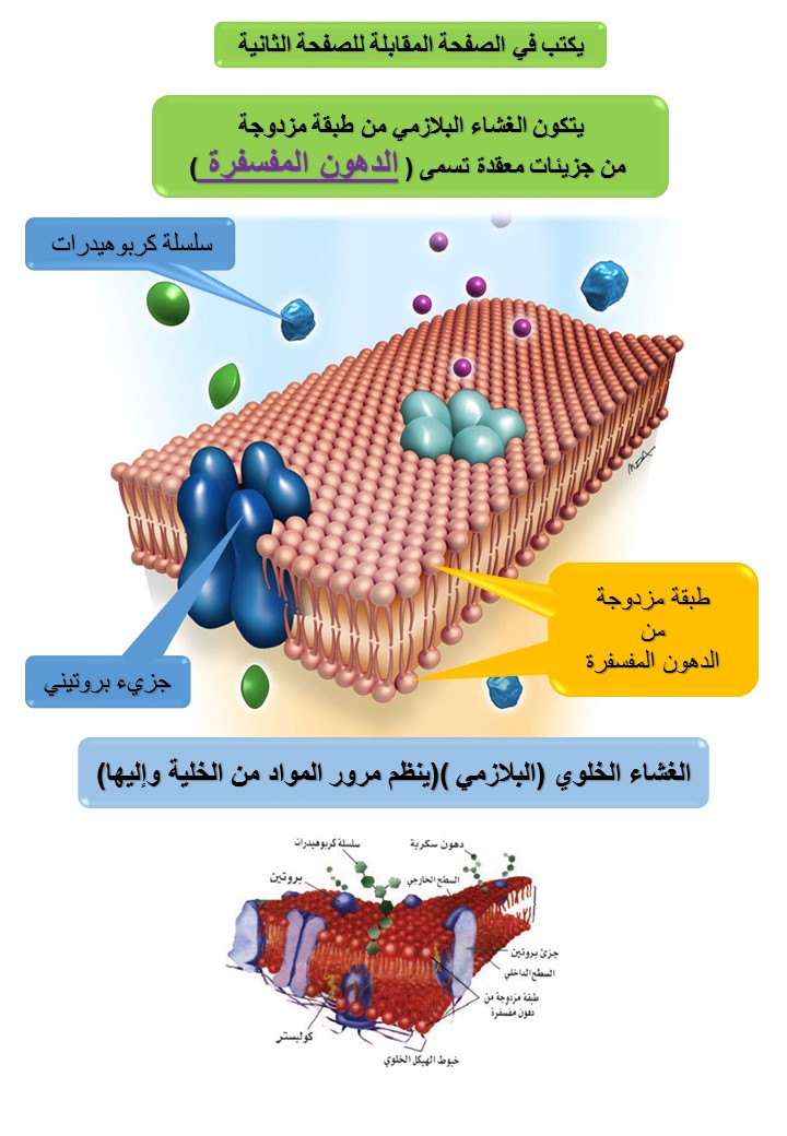 %d8%b4%d8%b1%d9%8a%d8%ad%d8%a98