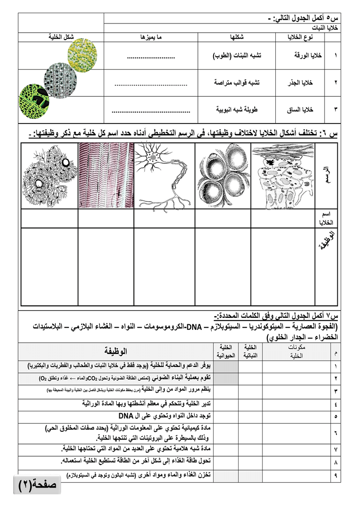%d8%b4%d8%b1%d9%8a%d8%ad%d8%a92