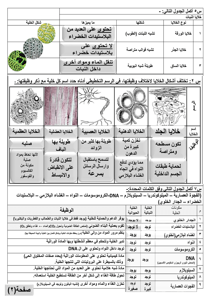 %d8%b4%d8%b1%d9%8a%d8%ad%d8%a95