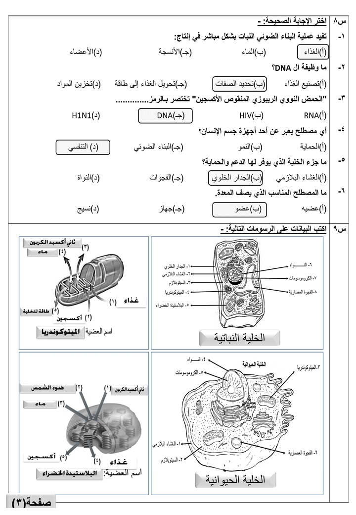 %d8%b4%d8%b1%d9%8a%d8%ad%d8%a96