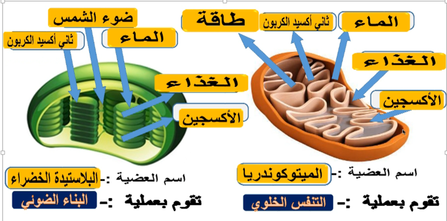 %d8%b5%d9%88%d8%b1%d8%a91