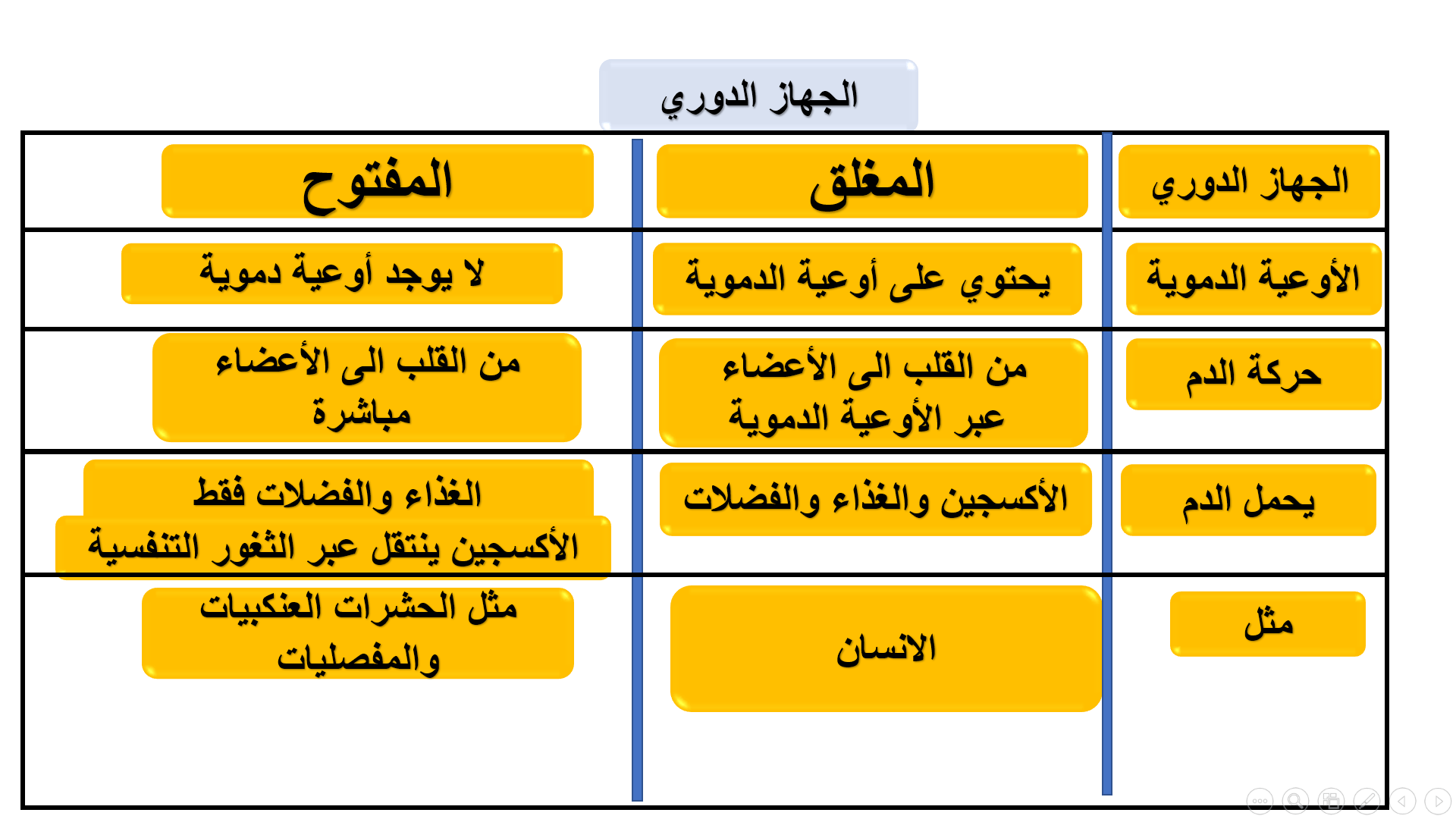 %d9%84%d9%82%d8%b7%d8%a9-%d8%a7%d9%84%d8%b4%d8%a7%d8%b4%d8%a9-782